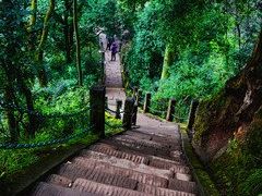 -青城山