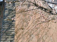 -三里河公园