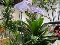 -花辰月夕花坊(北滨路店)