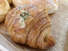 -蜂蝶来饼店(拱北总店)
