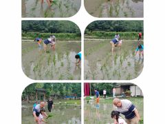 -中国天府农业博览园