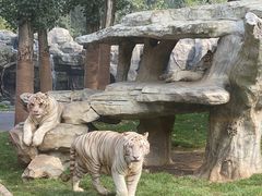 -北京野生动物园