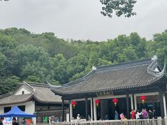 -上海佘山国家森林公园天马山园