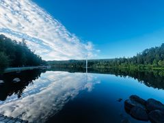 -五营红松林海景区