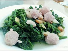 南瓜苗-粥旺庄(芳村店)