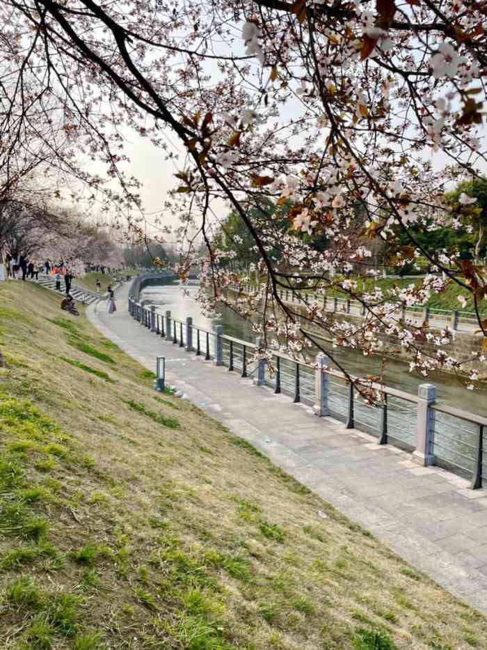 金沙濱河公園-