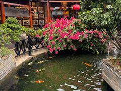 -猪肉婆私房菜(容桂总店)