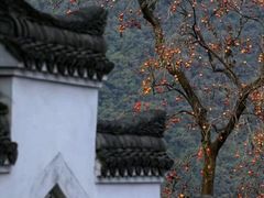 -宁波余姚老柿林山居度假村