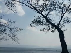 -抚仙湖禄充风景区