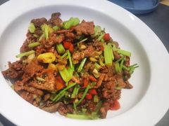-洞庭家宴·头牌甲鱼(广渠门店)