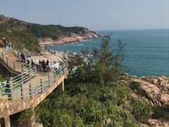 -广东惠东海龟国家级自然保护区