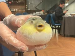 -肆月河豚·新淮扬(金融街店)