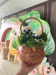 -爱丽馨御景月子中心