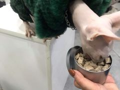 -极木²邸 人与宠物·互动社区