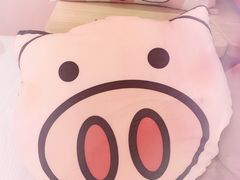 -浣熊柯尔鸭土拨鼠·电玩咖