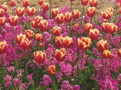 -上海海事大学(临港校区)