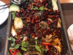 Spicy bass-鸿福酒家