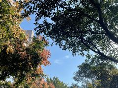 -千佛山风景名胜区