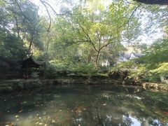 -宋宴(虎跑店)