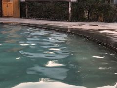 -雅安楠水阁温泉酒店