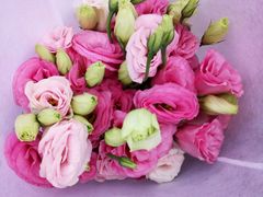 -沪花拾者(好再来花卉鲜花店)