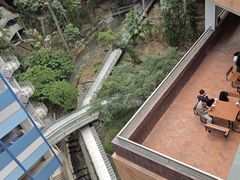-香港大学