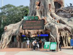 -大连森林动物园