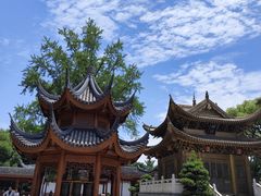 -上海东林寺(金山区)
