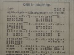 -星光教育超市(传媒大学店)