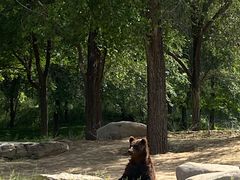 -北京野生动物园