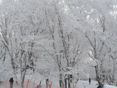 -中旅松花湖滑雪场