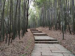 -西湖风景区十里琅珰-五云山