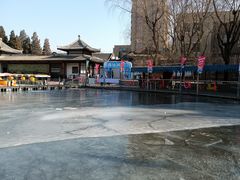 -团结湖公园