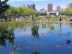 -莲花池公园