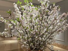 -炳胜公馆(珠江新城店)