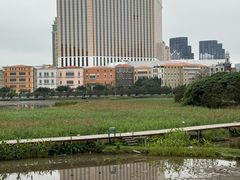 -澳门威尼斯人综合度假区