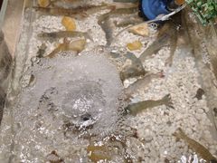 -上海神旺大酒店