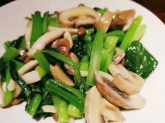 -楼兰古丽·新疆拌面·清真(华阳城店)