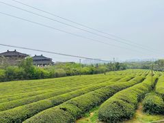 -敬亭山风景名胜区