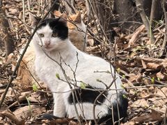 -敬亭山风景名胜区