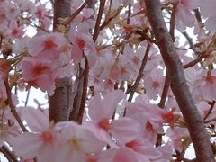 -观澜湖生态运动公社