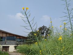 -驿舍·民國老营房院子私房菜(科学会堂店)