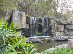 -顺峰山公园