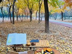 -绿堤公园