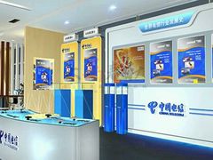-中国电信(泰兴路店)