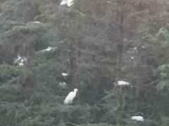 -象山森林公园