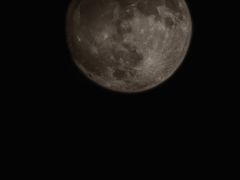 -深圳皇庭V酒店