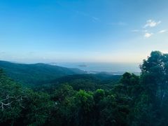 -三亚亚龙湾人间天堂鸟巢度假村
