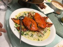 -圆苑(金茂店)