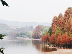 -畔山酒店中餐厅